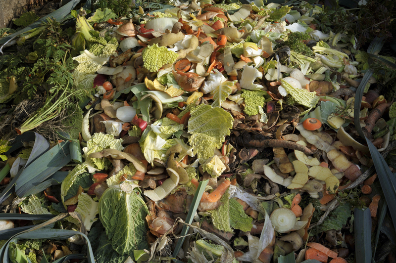 rubbish collection waste collection