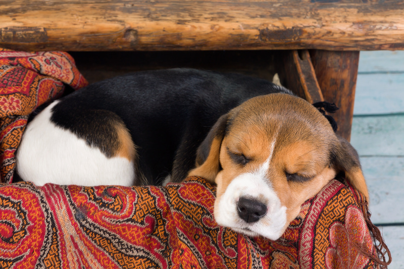 Unleash Potential Space: Proven Clutter Removal Practices